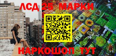 молекула духа Кандалакша